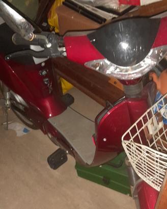 bici elettrica 