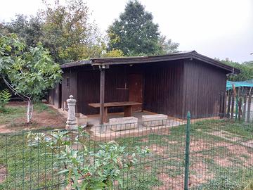 Giardino più casetta ripostiglio