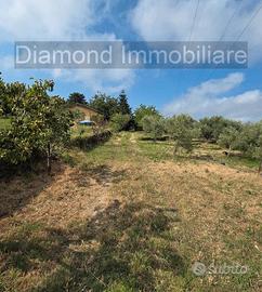 Terreno edificabile e agricolo con casa a Mascali
