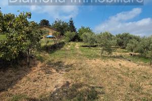 Terreno edificabile e agricolo con casa a Mascali