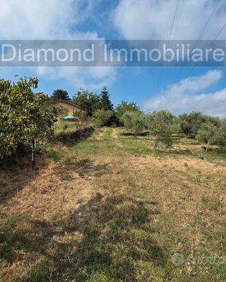 Terreno edificabile e agricolo con casa a Mascali