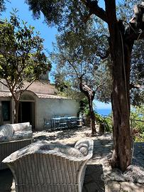 Casa con giardino vicino al mare, Massa Lubrense