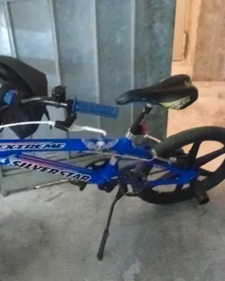 bmx bicicletta