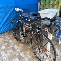 Scapin