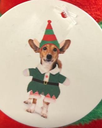 Vestito elfo per cagnolino