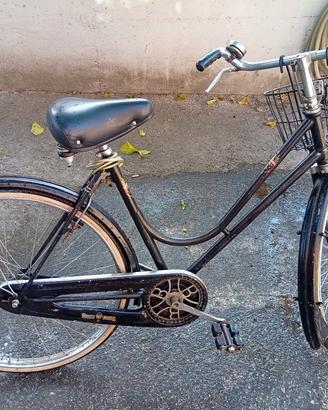 bianchi del 1954