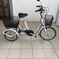Bici elettrica