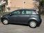 Immagine 5