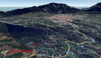 Terreno agricolo di 4 ettari a dorgali