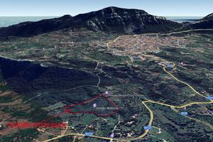 Terreno agricolo di 4 ettari a dorgali