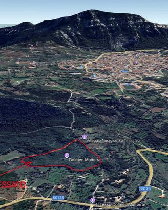 Terreno agricolo di 4 ettari a dorgali