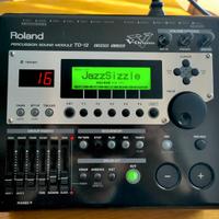 Roland TD-12 Centralina Modulo + V Expression Pack