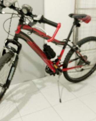 Bici Lombardo ragazzo 