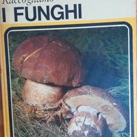 raccogliamo i Funghi