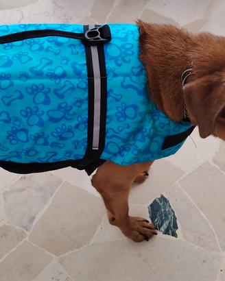 Giubbino mare per animali 