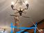 Immagine 5