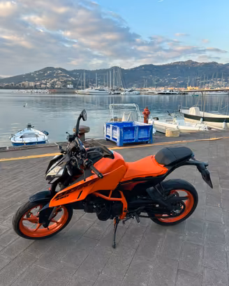 Duke 390 2025