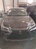 lexus-nx350h-cofano-usato