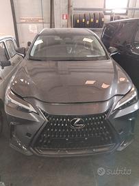 lexus nx350h  cofano usato
