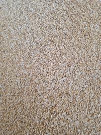 Orzo granella