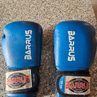 guantoni boxe