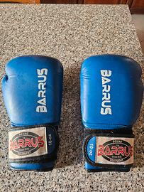 guantoni boxe