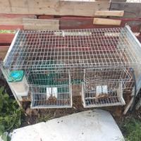 coniglio gabbie varie