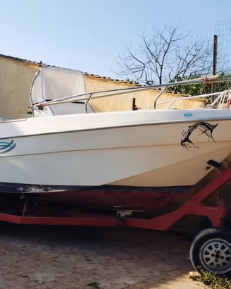 Barca Mimì Fisherman 21 + Motore Evinrude 150 CV