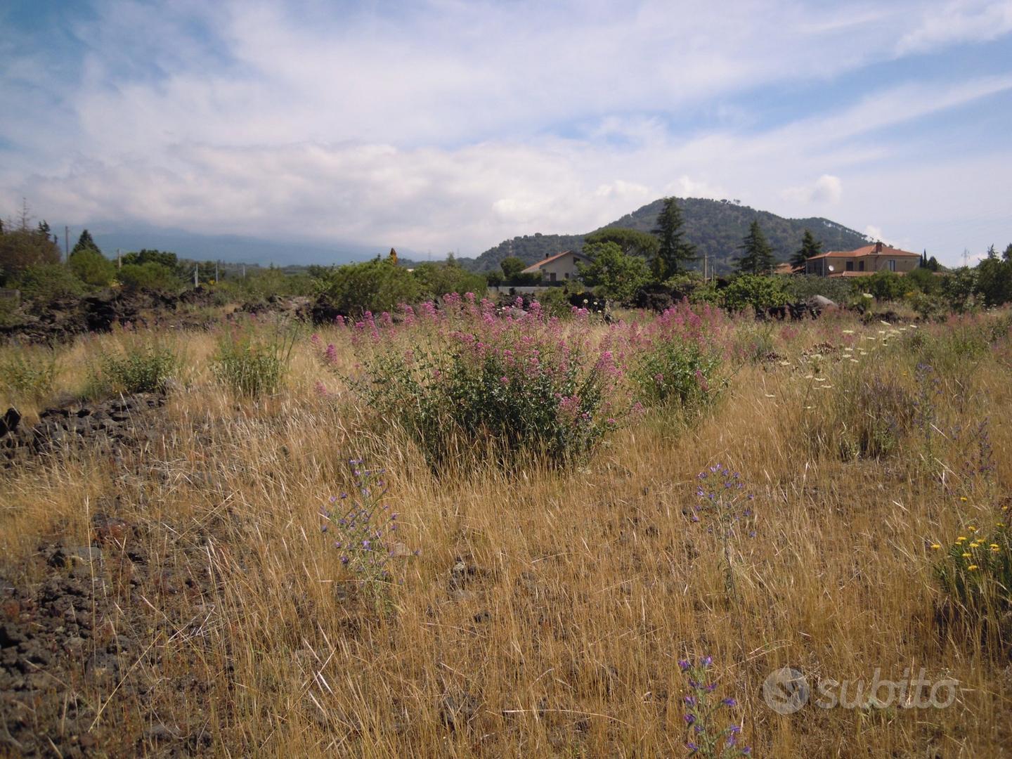 Terreno 3.000 mq zona C con prospetto strada - Altro