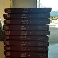 enciclopedia  dell'arte grolier