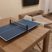 Tavolo ping pong mini