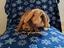 Immagine 1