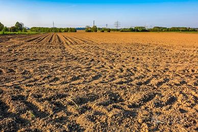 Terreno agricolo seminativo irriguo a Premariacco