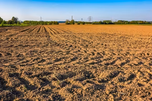 Terreno agricolo seminativo irriguo a Premariacco