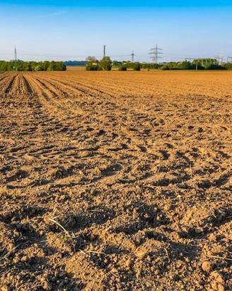 Terreno agricolo seminativo irriguo a Premariacco