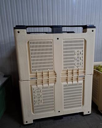 Bins in plastica 100x120x78 come nuovi