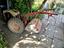 Immagine 3
