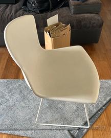 Knoll Sedia Harry Bertoia in polipropilene