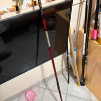 DAIWA TOURNAMENT X ROSSA 5mt