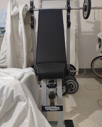 Panca Technogym modello Pratica con dischi
