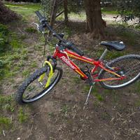 Mountain Bike Rollmar
