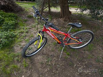 Mountain Bike Rollmar