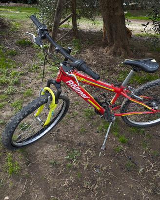 Mountain Bike Rollmar
