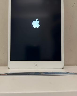 iPad mini 16 GB