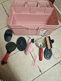 Casetta con attrezzi pulizia cavallo