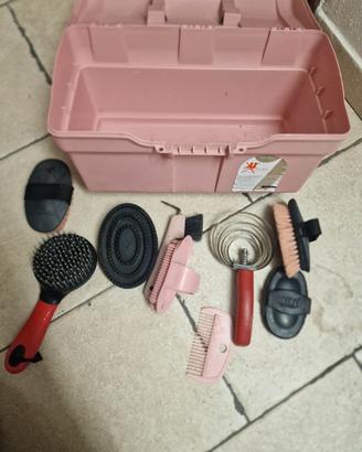 Casetta con attrezzi pulizia cavallo