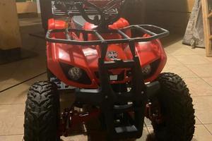 Mini Quad elettrico 1200watt