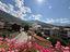 Immagine 24