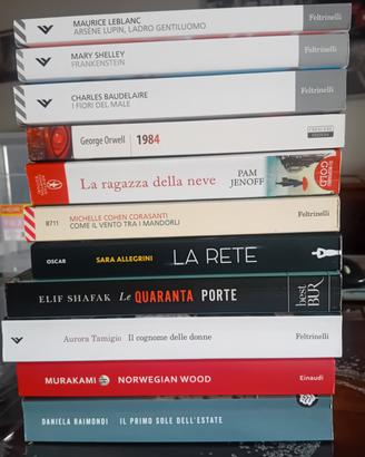 Lotto 11 Libri Vari - Classici e Moderni