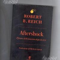 Aftershock, di Robert Reich 2010